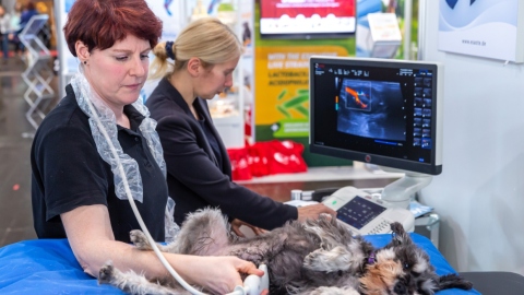 Weiterbildungsmöglichkeiten für TFA Leipziger Tierärztekongress